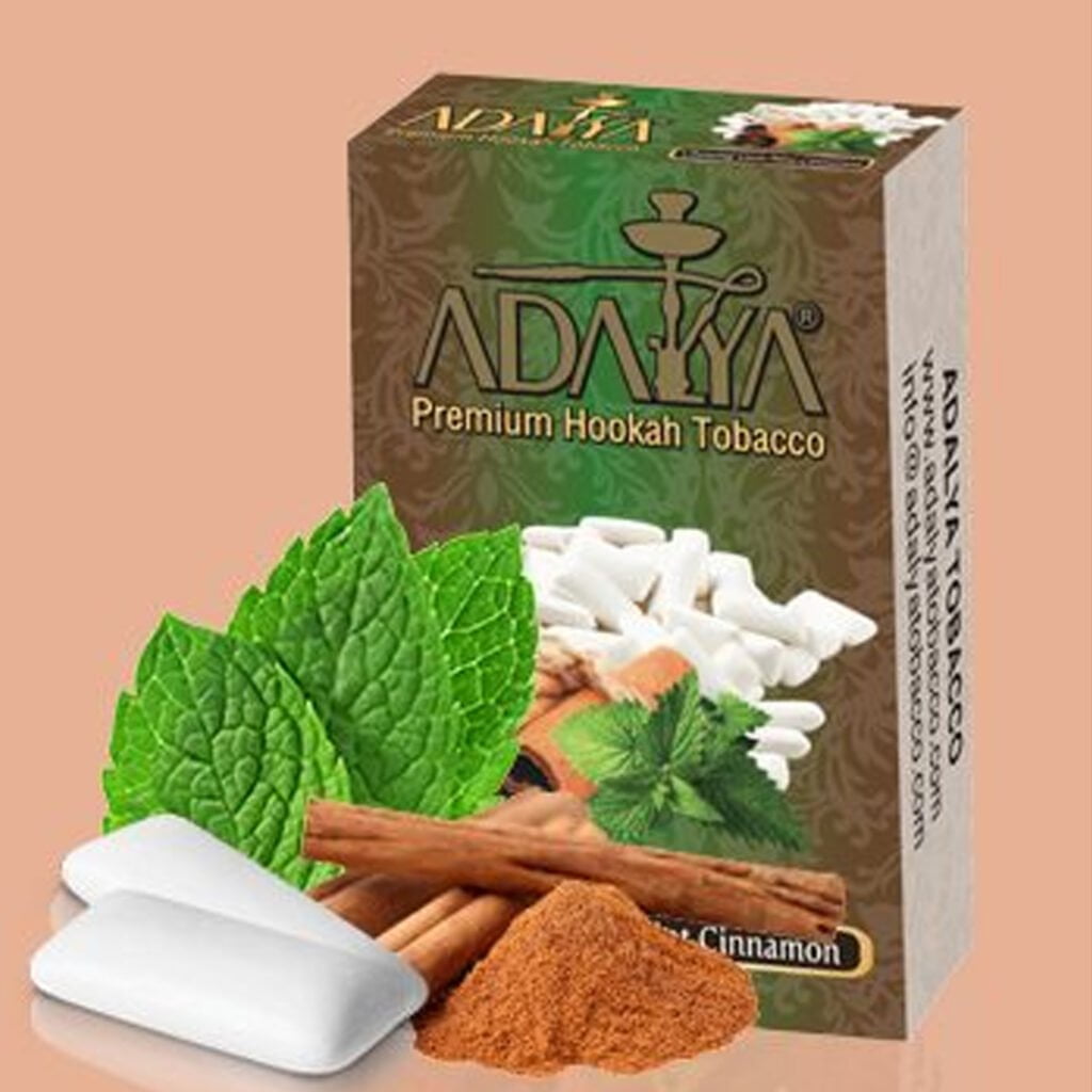 Adalya – Chewingum Cinnamon 1KG – Nargilestan